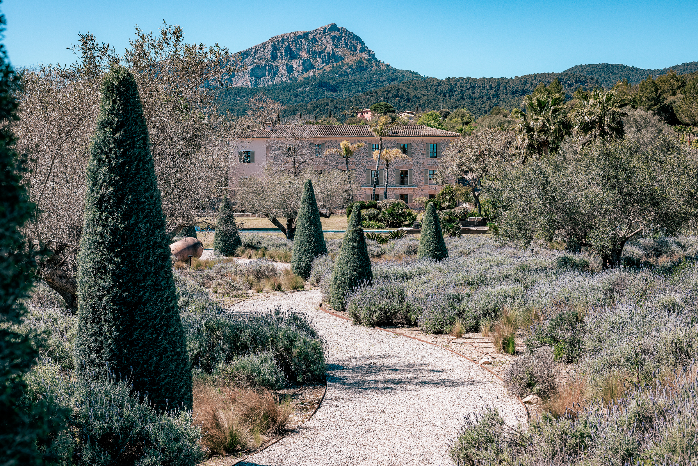 Nine bedrooms estate in the Tramuntana mountains outside Puigpunyent — 2