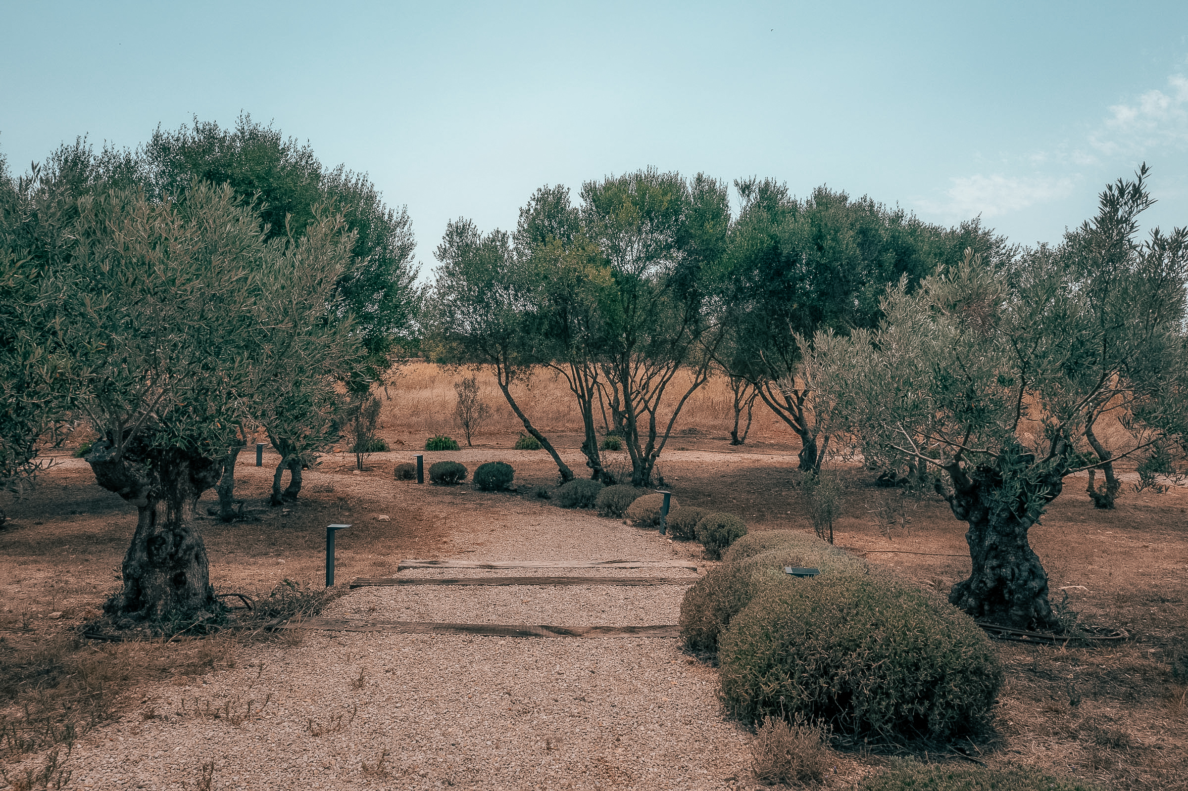 Beautiful newly built 5 bedroom finca on a large plot in Santanyi — image 29