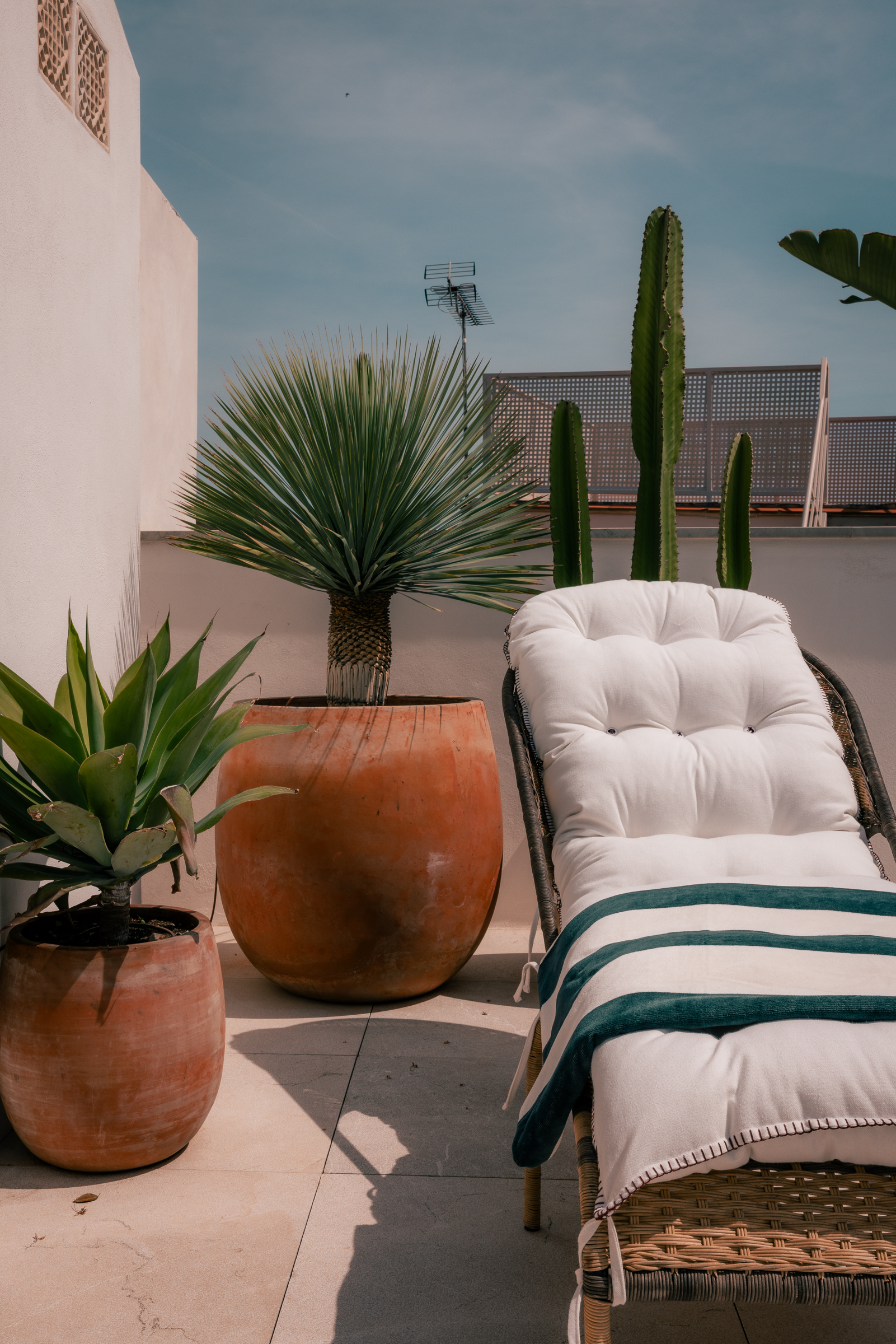 Elegant 3-Bedroom Penthouse in Palma with Sea Views — image 12