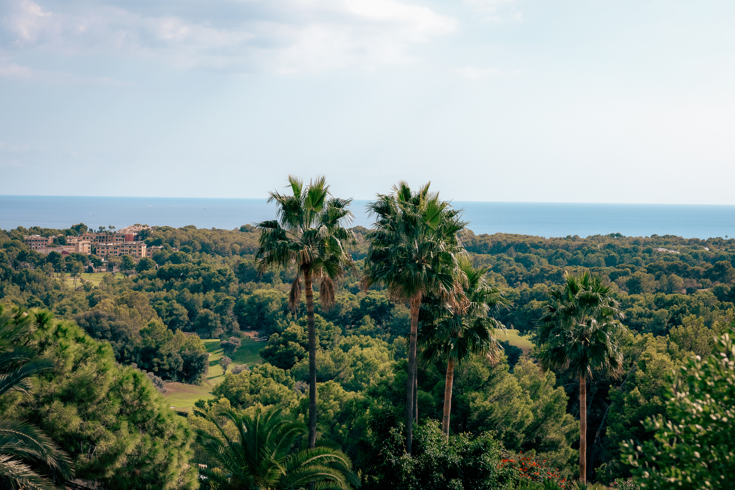 Stunning 5-Bedroom Villa in Bendinat with Sea Views and Pool — image 30