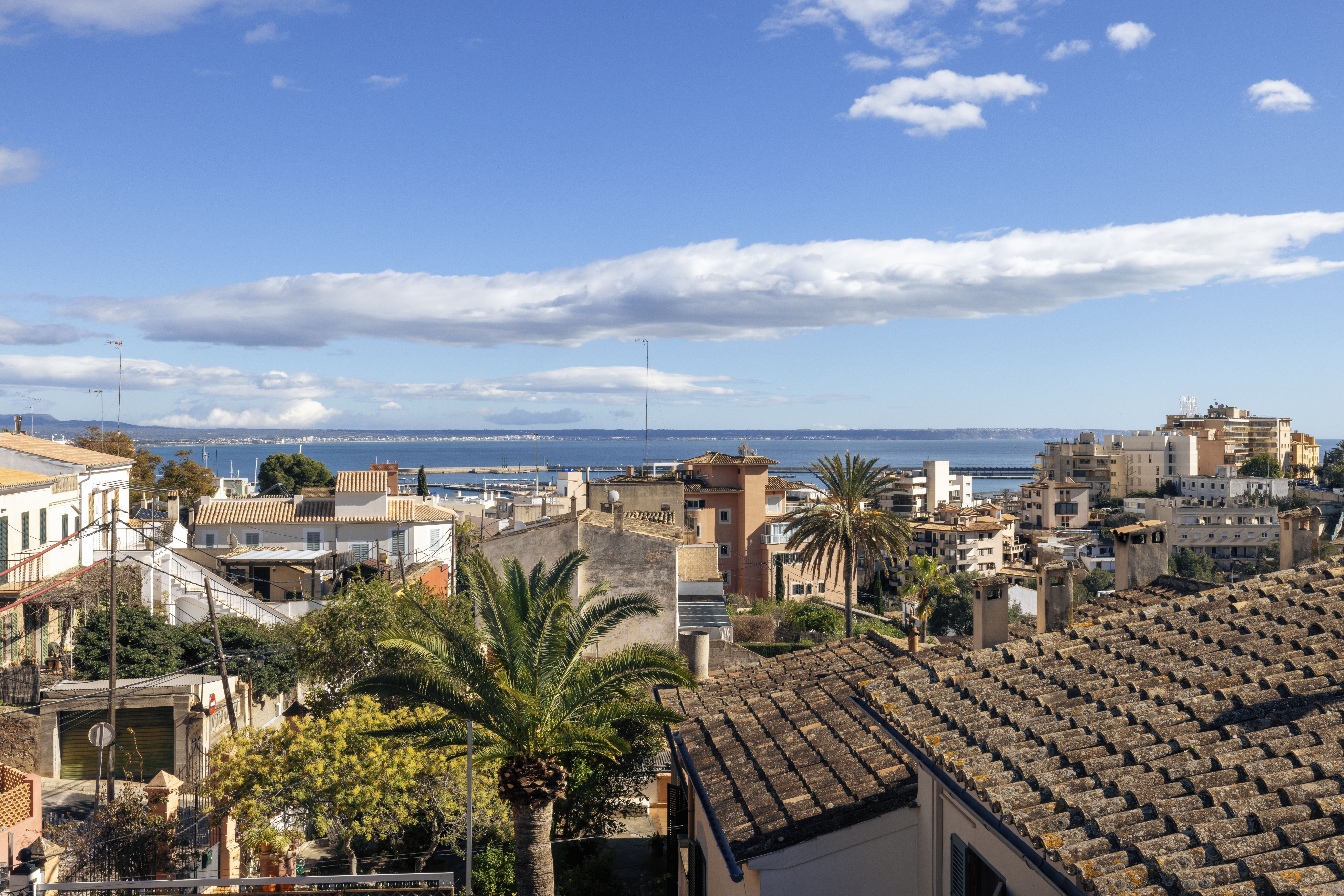 Exclusive 4-Bedroom Villa in El Terreno with Sea Views — 8