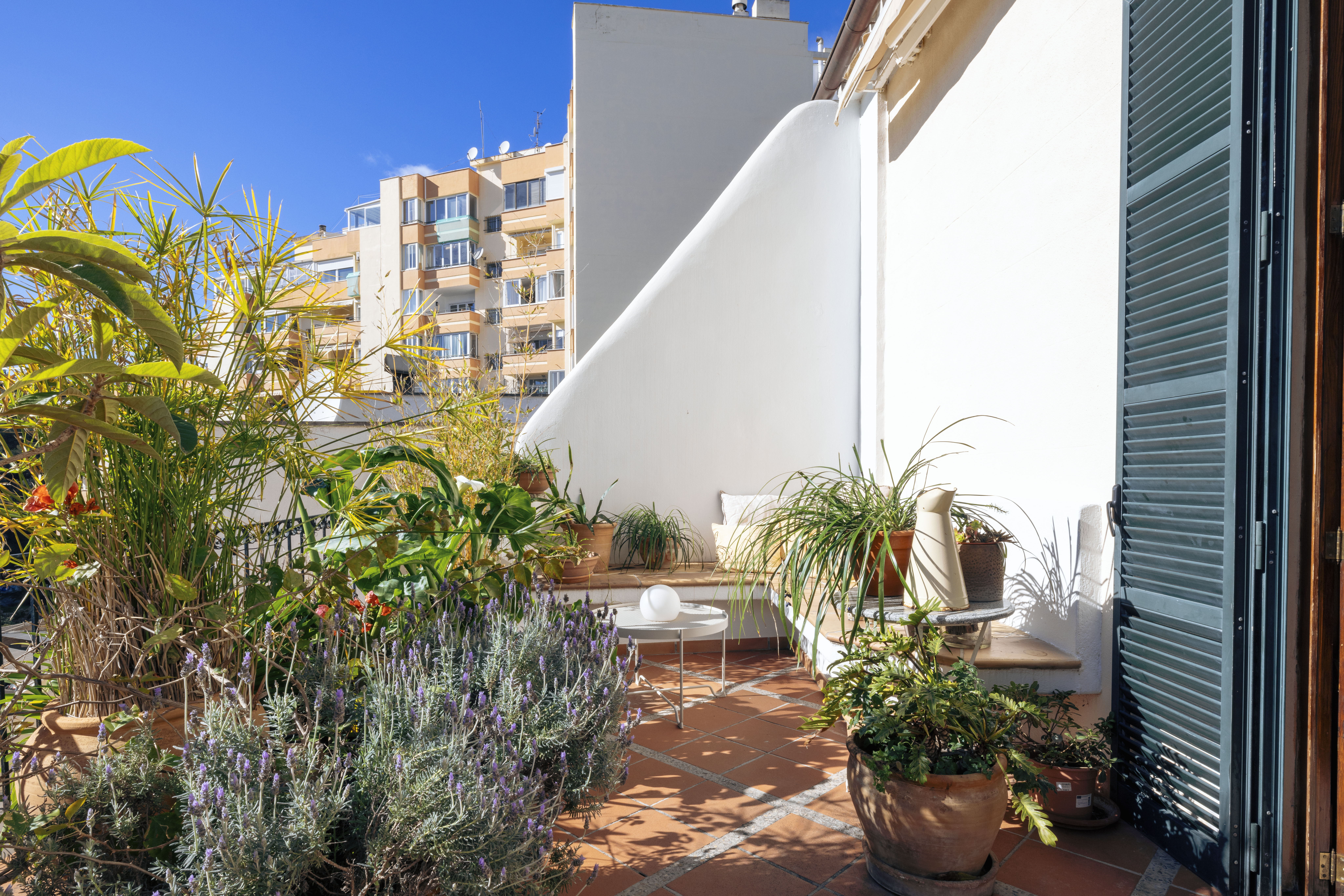 Exclusive 4-Bedroom Villa in El Terreno with Sea Views — image 13